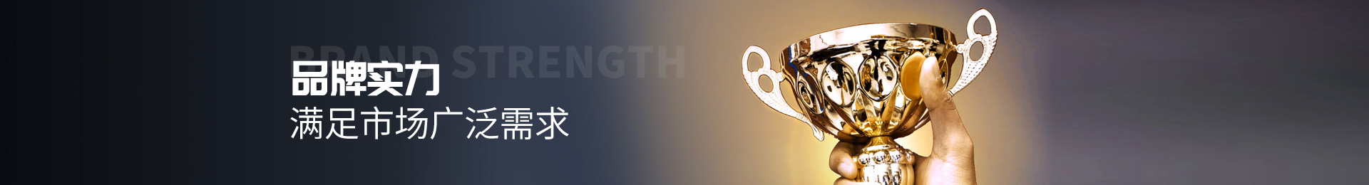 品牌實(shí)力,滿足市場廣泛需求